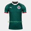 Koszulka Chivas de guadalajara Trzeci 2018-19 Koszulki Piłkarskie Krótki Rękaw